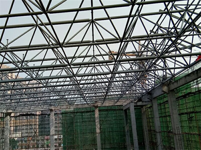 连云港光谷第十一小学网架